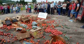 1600 земеделци заявиха протест на Дунав мост