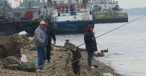 Уловът на риба в Дунав намалял с близо 20 на сто за година