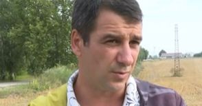 Д-р Христо Стойков: Комари и мухи  заразиха с чума прасетата в Бръшлен