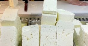 Кооперацията в Ряхово ще  произвежда сирене и кашкавал
