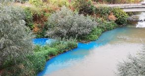 Екоинспекцията не сварила да види електриковите води в Лома