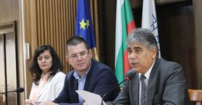 Африканската чума изтребила глиганите в горите