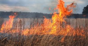 Лишават от субсидии стопаните на 4800 декара запалени стърнища в Русенско