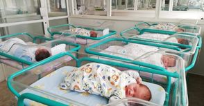 4.3 кг разлика между най-малкото и най-голямото бебе в болница „Канев“
