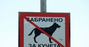 Училища искат табели да забраняват  разходки на кучета в дворовете