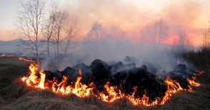 Запалено стърнище унищожи 20 декара иглолистна гора