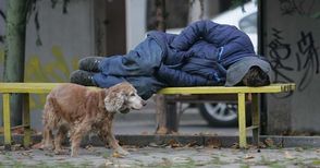 Институциите на лов за бездомници,  общината чака сигнали на горещите телефони