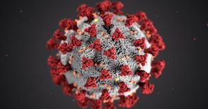 13 стигнаха смъртните случаи на заразени с коронавирус