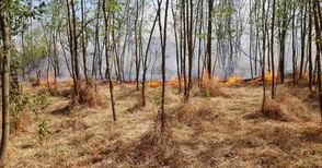 15 пожарникари и 8 доброволци гасиха 25 декара запалена гора