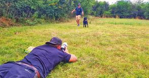 Английски топ фотограф снима кучета и котки от общинския приют