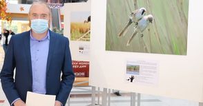Юрист природолюбител подреди фотоизложба на редки птици