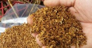 Нелегален търговец на тютюн плаща 10 000 глоба около Коледа