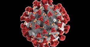 13 февруари - първи път ден без починали от коронавирус за 11 месеца