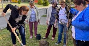 Дамите от „Заедно си помагаме“ засадиха три символни дръвчета