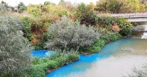 РИОСВ: Оцветяването не е замърсило водата в Русенски Лом