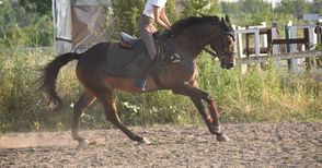 Държавно по всестранна езда се  провежда на Хиподрума през уикенда
