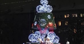Коледната елха пред Общината грейва в светлини тази вечер