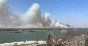 Пожар от запалено стърнище в Гюргево притесни русенци