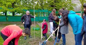 Ученици и „Дунавско сияние“  садят дръвчета за Деня на земята