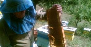 Производството на мед  намаля с 4% за година