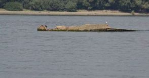 Потопен преди 35 години кораб изплува от Дунав