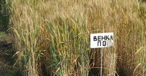 Ден на отворените врати в  института „Образцов чифлик“