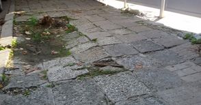 Окончателно: 30 000 лева обезщетение за падане на разбит тротоар в центъра на Русе