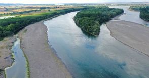 Пресъхналият Дунав намалява популациите  на ценни риби и водолюбиви птиц