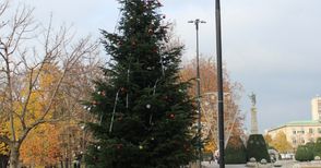 Коледната елха ще засияе в сряда, Русе посреща Нова година на площада с Поли Генова и „Сода Акустик“