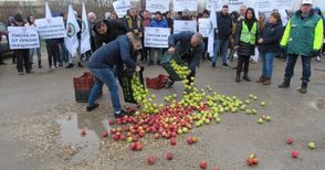 Производители на плодове и зеленчуци на протеста на Дунав мост: Писна ни от празни обещания! Дайте ни шанс да работим спокойно!