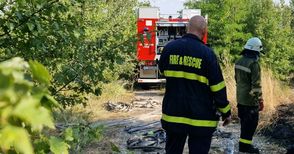 Пожар между вилна зона и „Дунарит“ стана първото изпитание за новия шеф на пожарната