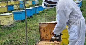 "На гости на Тунджа": Здравко Аврамов, който иска да направи Музей на пчелата в тунджанското село Робово
