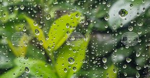 Жълт код за значителни валежи в осем области в страната обяви за днес НИМХ