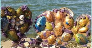 Деца от социални центрове правят гигантска плюшена риба и ято малки водни обитатели