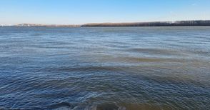 Силно разложен труп на жена изплува от Дунав край Ряхово