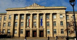 6000 лева обезщетение за жестоко нахапано от питбул дете