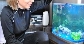 Даниела Шилкова ще размива стреса с аквариум с рибки