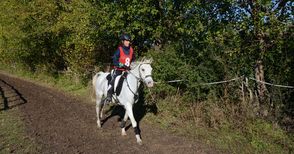 БТБ с призови места в тежко изпитание за ездачи и коне