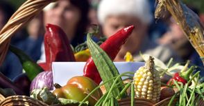 Румънски и български производители на плодове и зеленчуци се обединяват