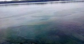 Нефтени петна плувнаха по Дунав през уикенда