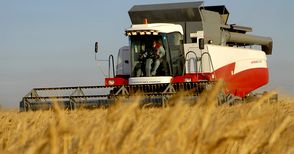 Ниските цени на зърното  обричат на загуби земеделците