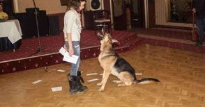 Четящо куче изуми журито на русенските таланти