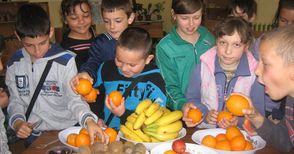 На 15 август започва приемът  по схемата „Училищен плод“