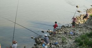 129 тона риба извадени от Дунав за година