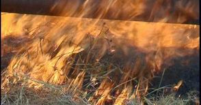 35 дка резене изгоряха от запалено стърнище