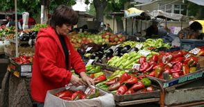 145 лева на декар стигат субсидиите  за производители на зеленчуци