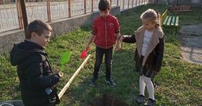 Малчугани засадиха 20 фиданки в двора на детската си градина