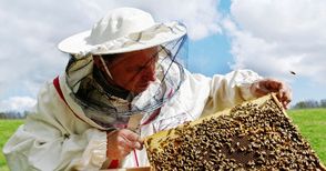 Пчеларите искат електронна система за уведомяване при пръскане с препарати