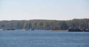 Десетки кораби и секции чакат на котва по-дълбока вода в Дунав