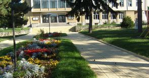 Борово чества 31 години от обявяването си за град